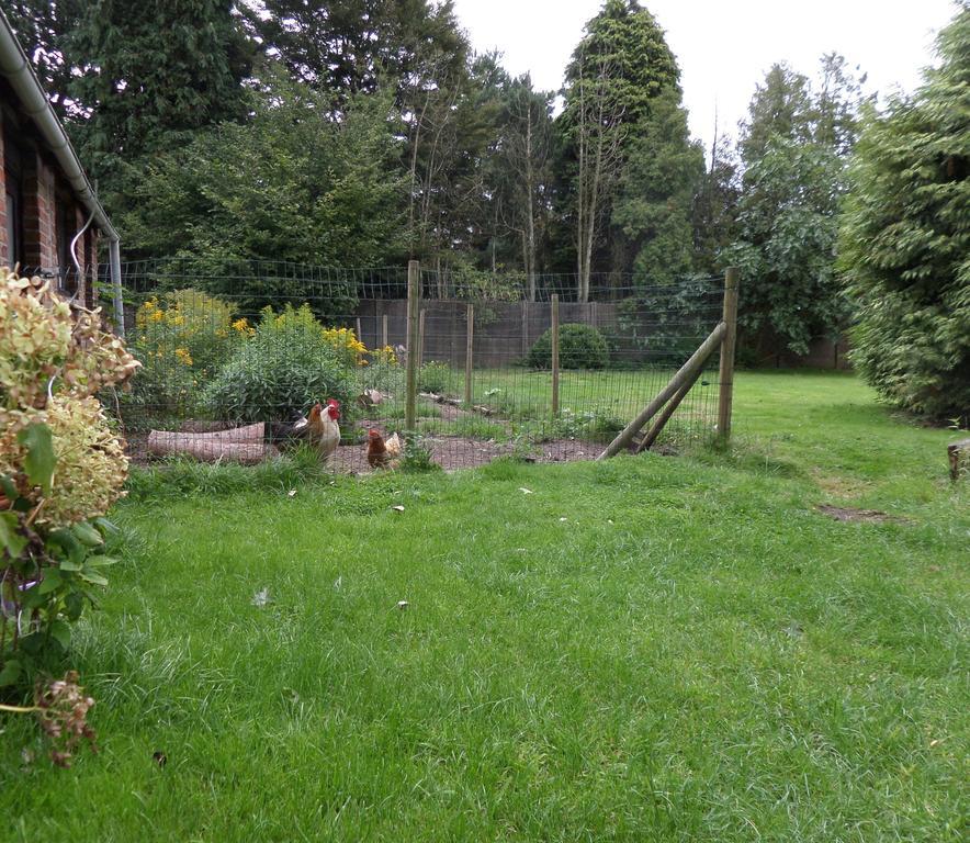 Villa Bijenhof Varsenare 部屋 写真
